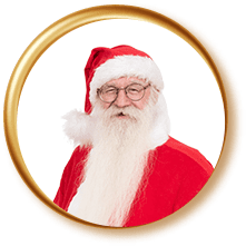 Santa Ziggy